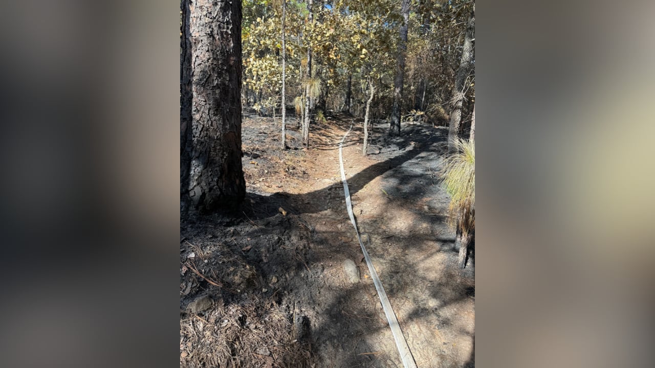 Alabama Forestry Commission Updates Wildfire Status at Oak Mountain State Park