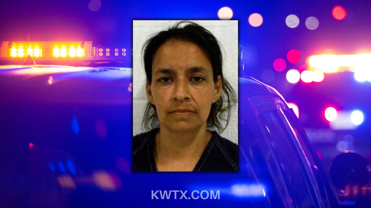 Day Care Owner Faces Felony Charge Over Alleged Toddler Biting Incident