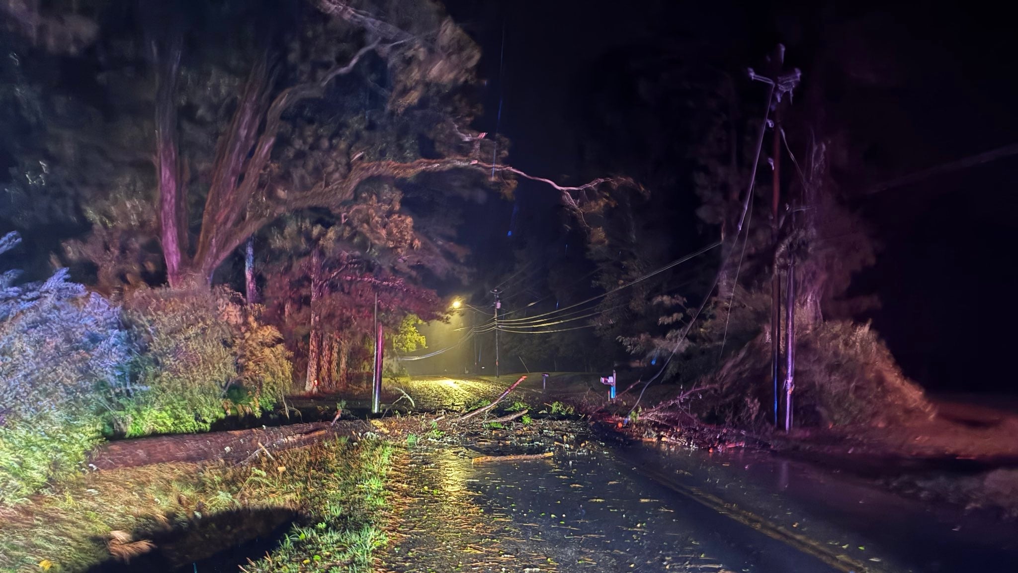 Deputy Injured by Falling Tree While Responding to Hurricane Isaias Storm Damage