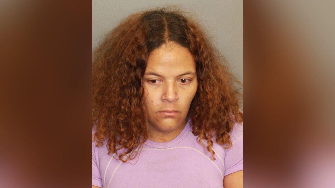Woman Charged With Animal Cruelty After Dogs Found Trapped in Hot Shed