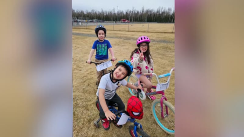 A child at a playground in Alaska was injured in a dog attack.