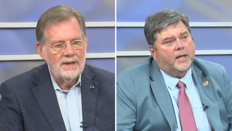Meet the candidates for Alabama's Commissioner of Agriculture and Industries: democrat Ron...