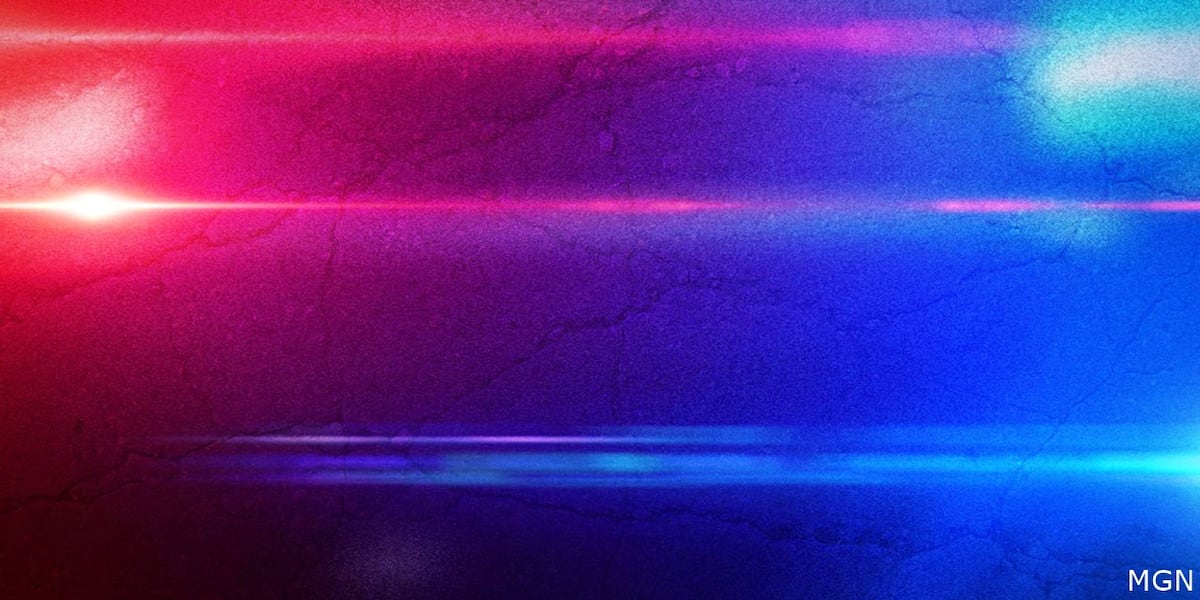 2 former Alabama corrections employees arrested on felony contraband charges
