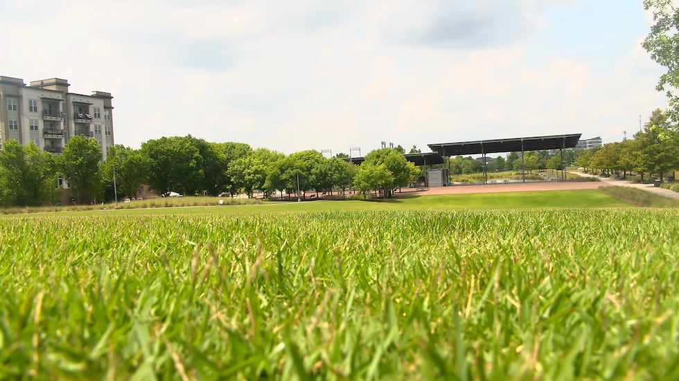 Railroad Park will host a public picnic with food trucks, live music and more Sunday.