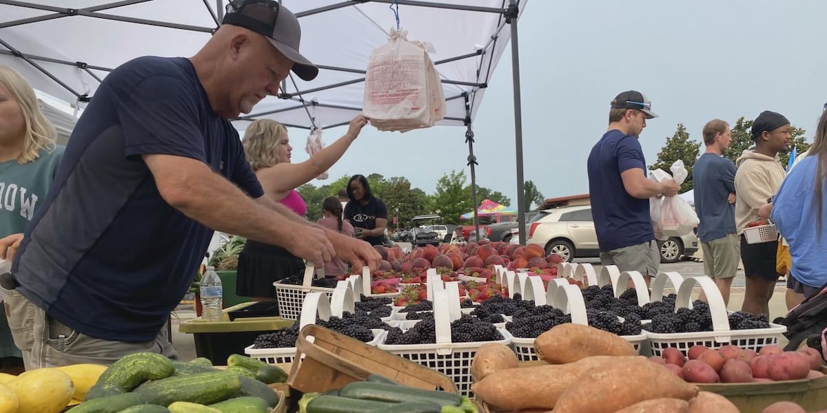 Tuesday Farmers Market allows even more vendors to sell at Tuscaloosa River Market
