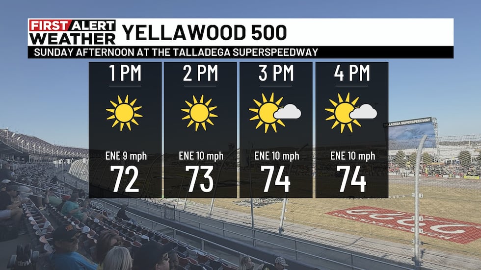 YellaWood 500