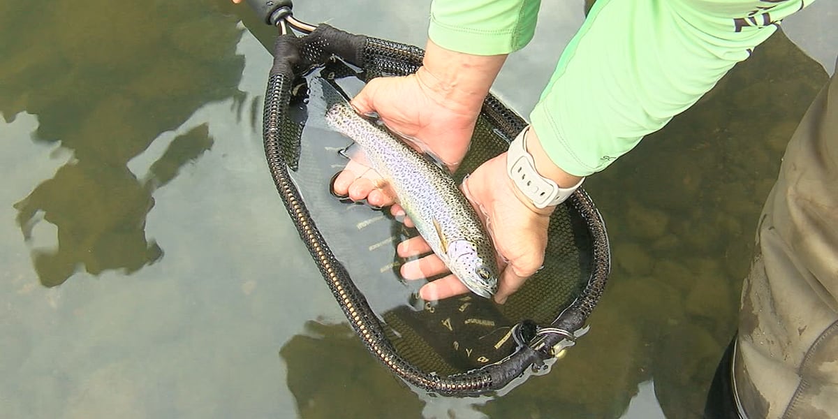 Fly Fish Alabama Checking out Central Alabama’s summer hot spots: Fly fish on the Sipsey ...