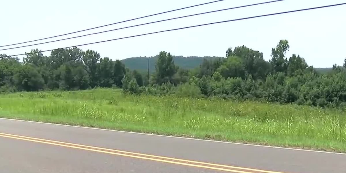 Massive development in the works in Cordova