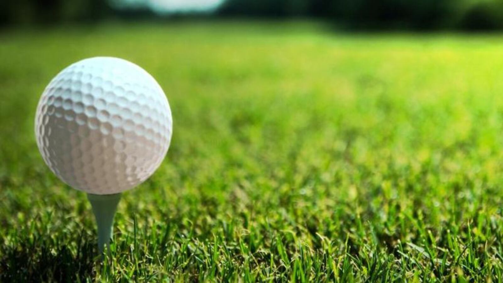 Auburn golf coach Nick Clinard named as Team USA cohead coach for 2025 Auburn golf coach Nick Clinard named as Team USA cohead coach for 2025
