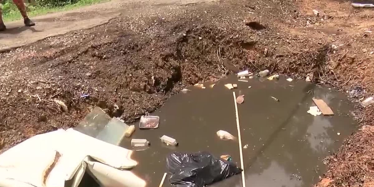 ‘There’s rats and roaches in there’: Neighbors in Inglenook express concerns after a large hole becomes dumping site