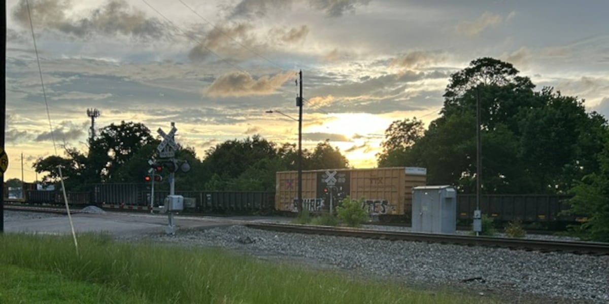Harris Homes neighbors stuck for hours as stopped train keeps students from getting home