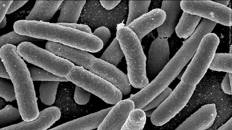 Two people developed a rare disease after being infected with E. coli, according to Missouri...