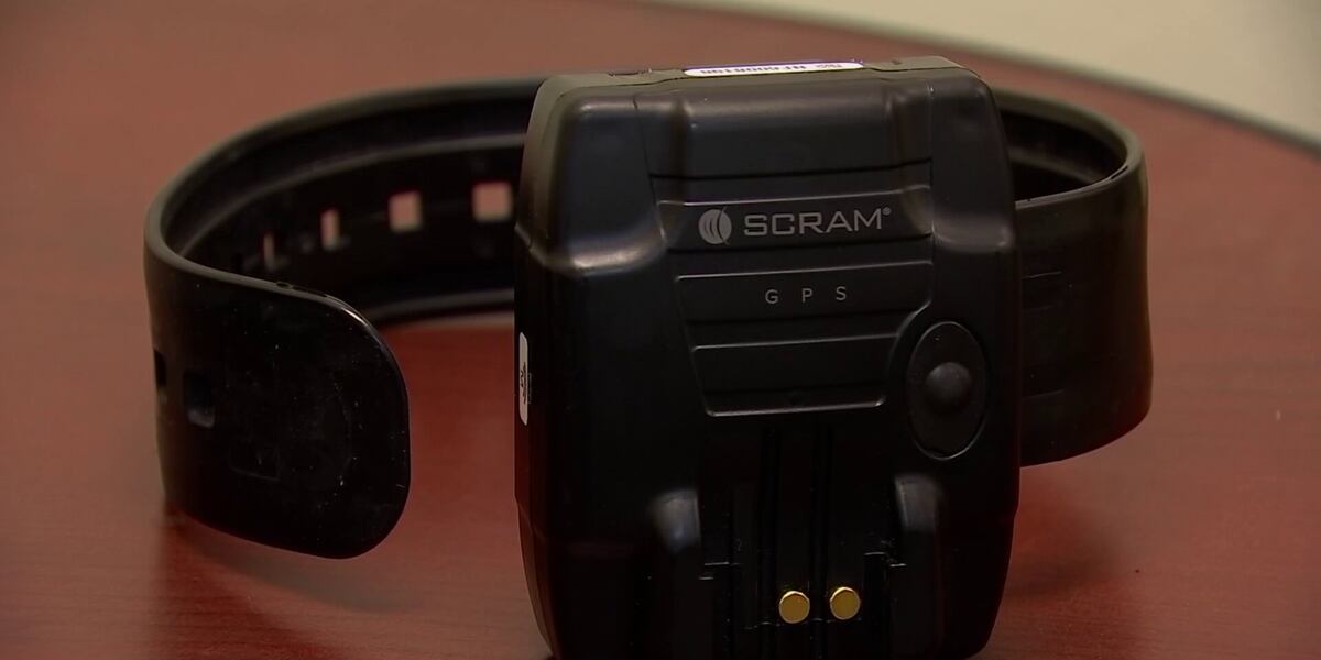 Alabama legislator says state could require domestic violence attackers ...