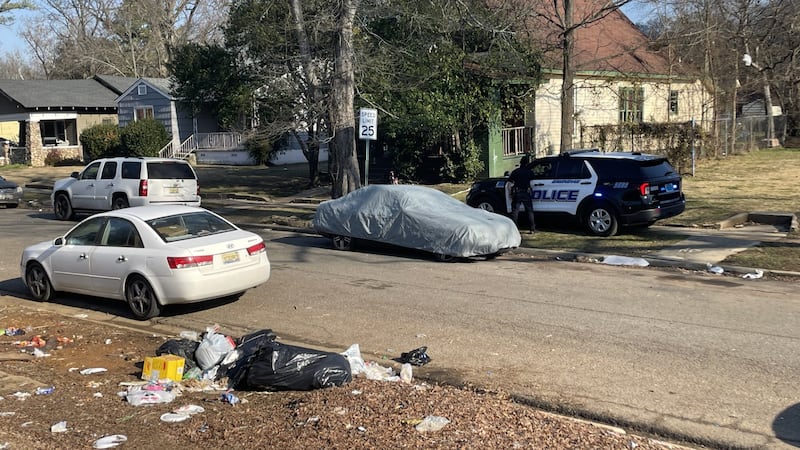 Birmingham Police are investigating after a person and a dog were shot Friday afternoon.