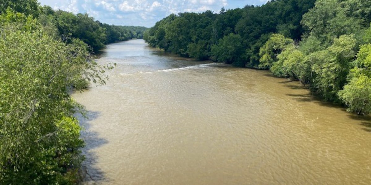 Excessive rain impacts Bibb County business