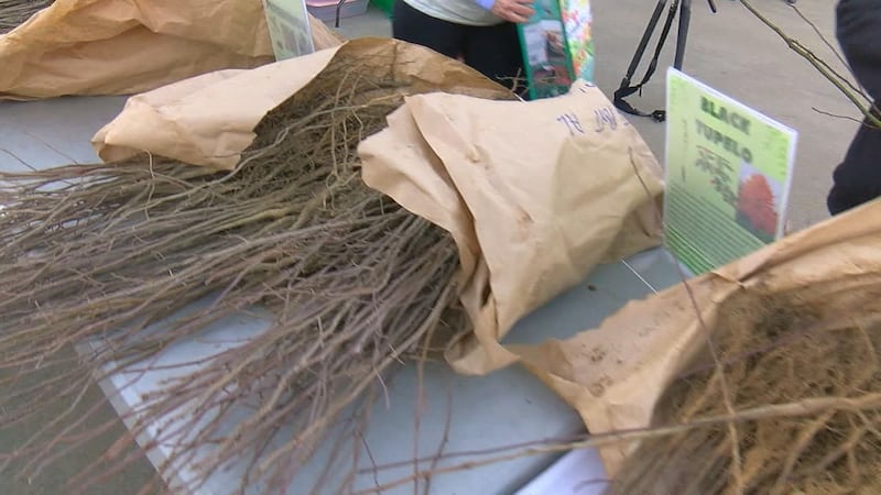 The Alabama Forestry Commission, along with the Westervelt Company, Alabama Power and the City...