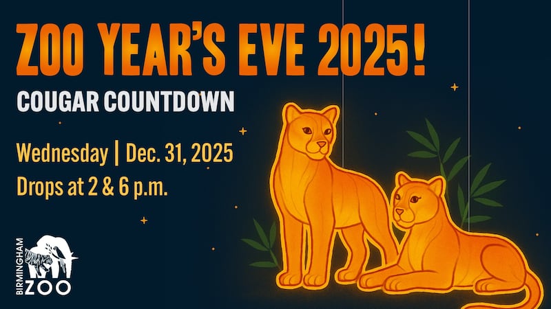 Celebrate New Year’s Eve with the cougars at Birmingham Zoo
