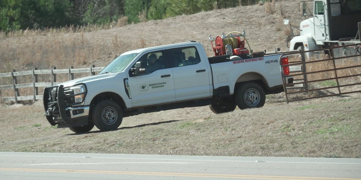 Firefighters, Alabama Forestry crews battle wildfires during dry, windy conditions Firefighters, Alabama Forestry crews battle wildfires during dry, windy conditions