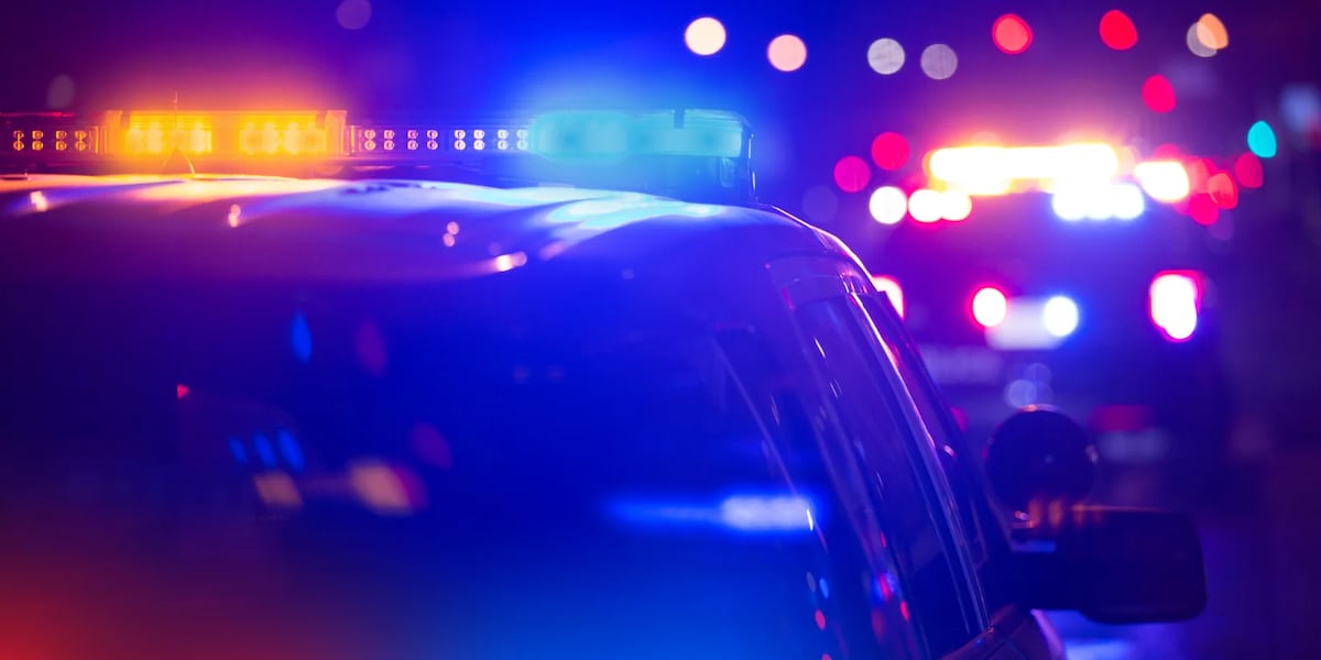 Bibb County mom charged with attempted murder, accused of trying to stab her sons