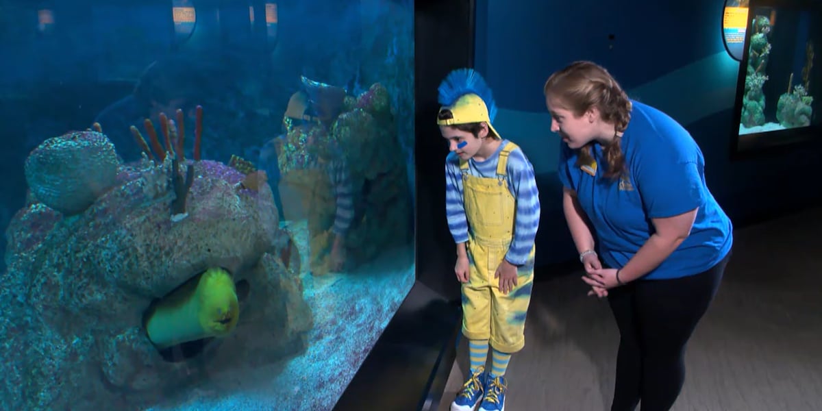 Two Birmingham venues bring undersea world to life this summer