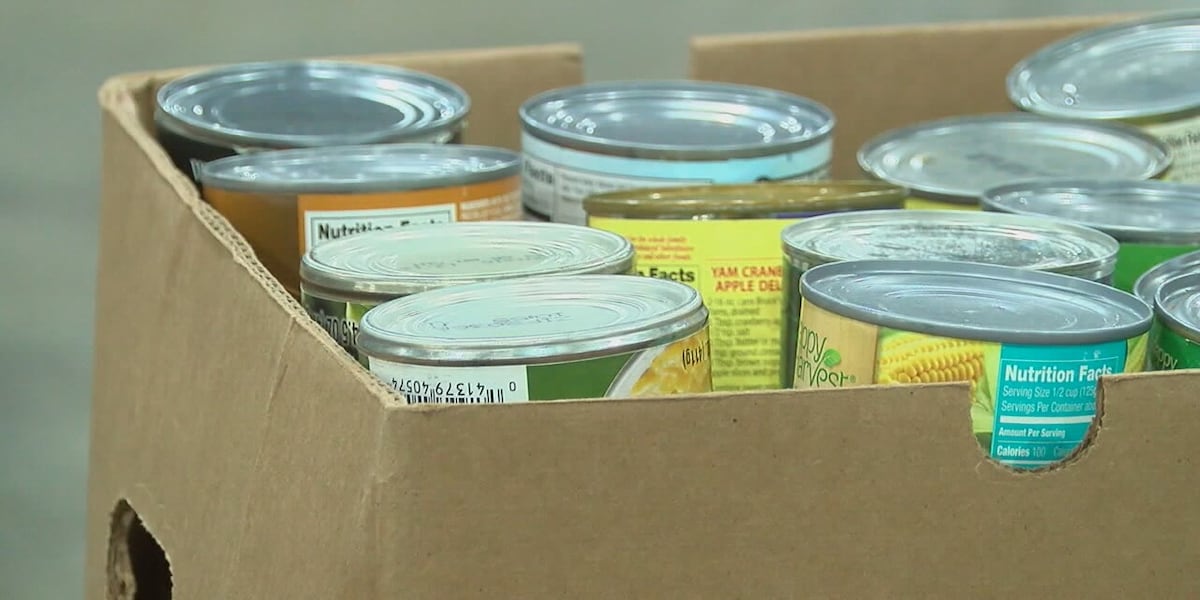 Alabama school districts launch summer feeding programs as report shows ...