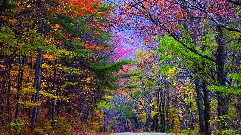 Fall Color Alabama Interactive map predicts Alabama's fall foliage colors by weekend