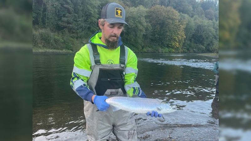 Todd Meadows, a deckhand on “Deadliest Catch,” died while fishing off the coast of Alaska.