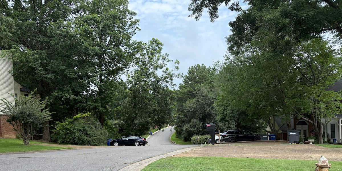 - is3280 data management course Images High Quality... 2 people shot, killed at home in Irondale identified