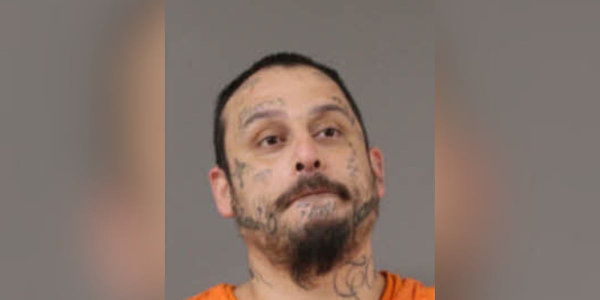 Man given life sentence after guilty plea in Blount County murder