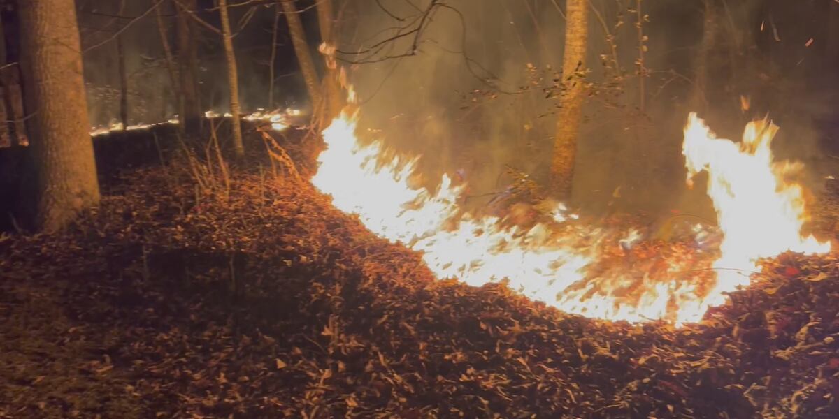Fire Danger Advisory issued for all Alabama counties Fire Danger Advisory issued for all Alabama counties