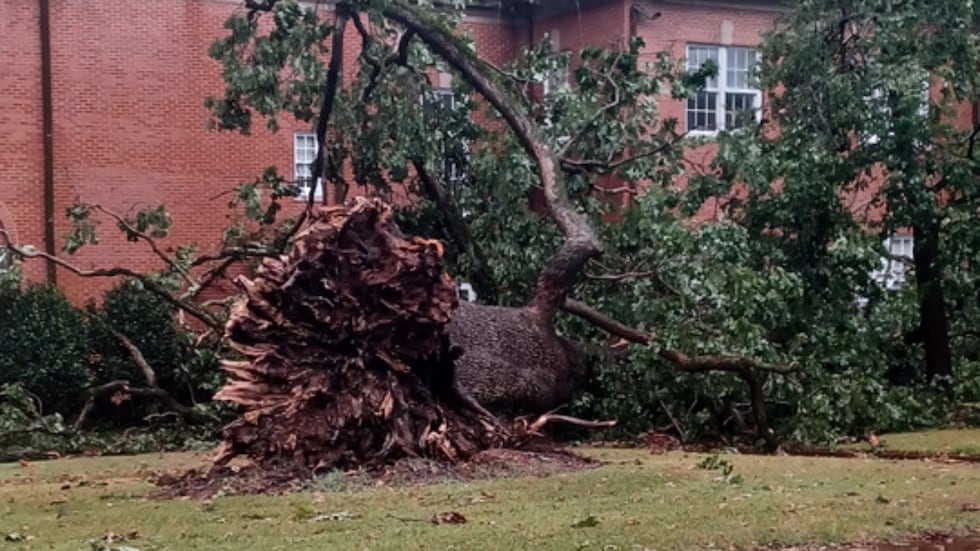 The University of Montevallo has moved to e-learning Wednesday as crews work to clean up...