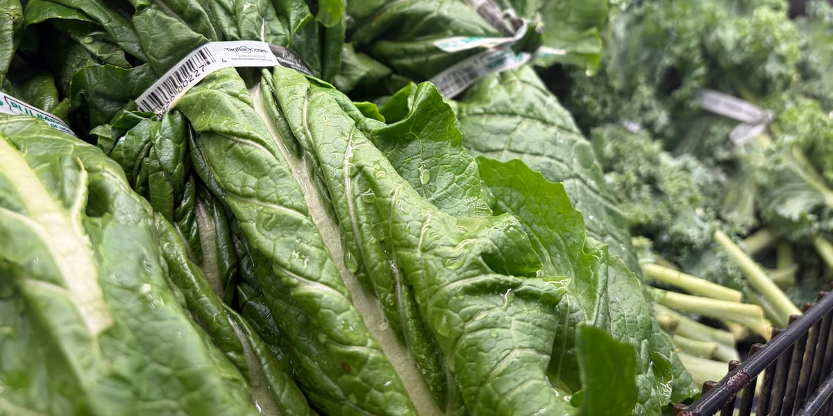 What to know about cyclospora in Alabama, how to protect yourself