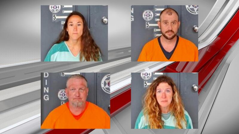 4 arrested after elderly woman shot through window in Cherokee County