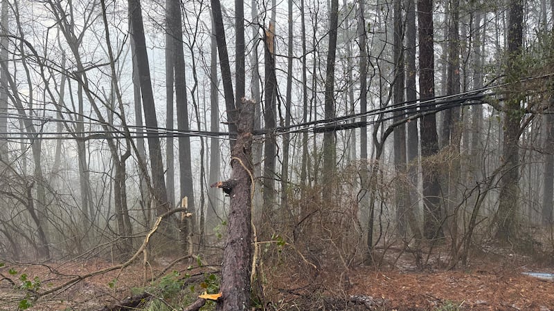 Storm damage in Jefferson County
