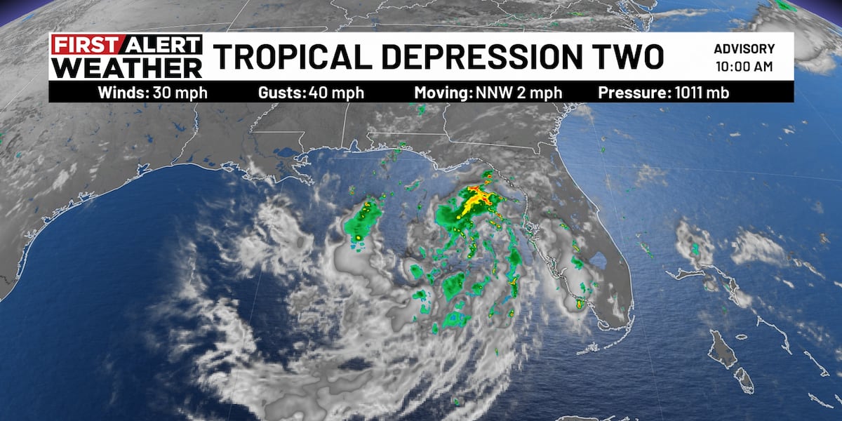 First Alert Weather: Tropical Depression 2 forms in the eastern Gulf; scattered strong storms Sunday afternoon