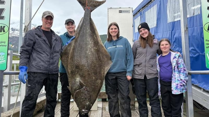 The 158-pound halibut became the star of the Valdez Halibut Derby earlier this month.