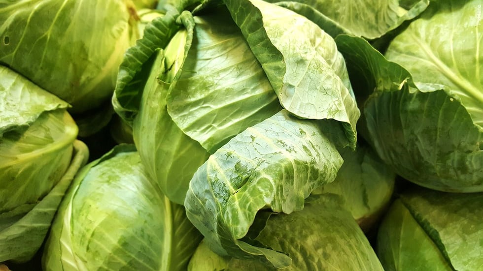 File: Lettuce