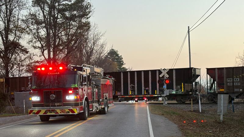 A train derailed at the County Road 22 crossing near Sysco Foods in Calera Saturday morning.