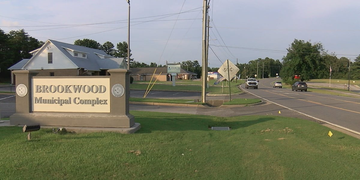 Neighbors raise environmental, transparency concerns over potential data center development in Brookwood