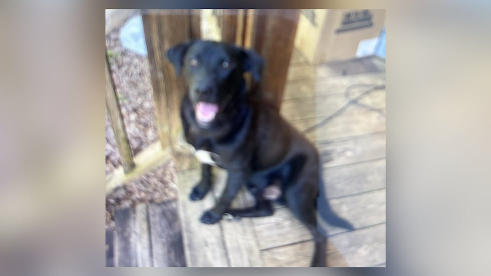 Sheriff Nick Smith shared a photo of a dog allegedly with a four-year-old Walker...
