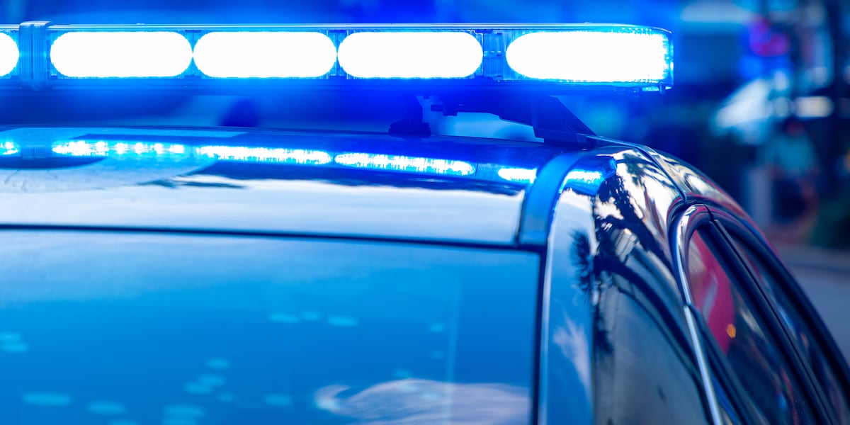 Cullman County man accused of stealing cattle