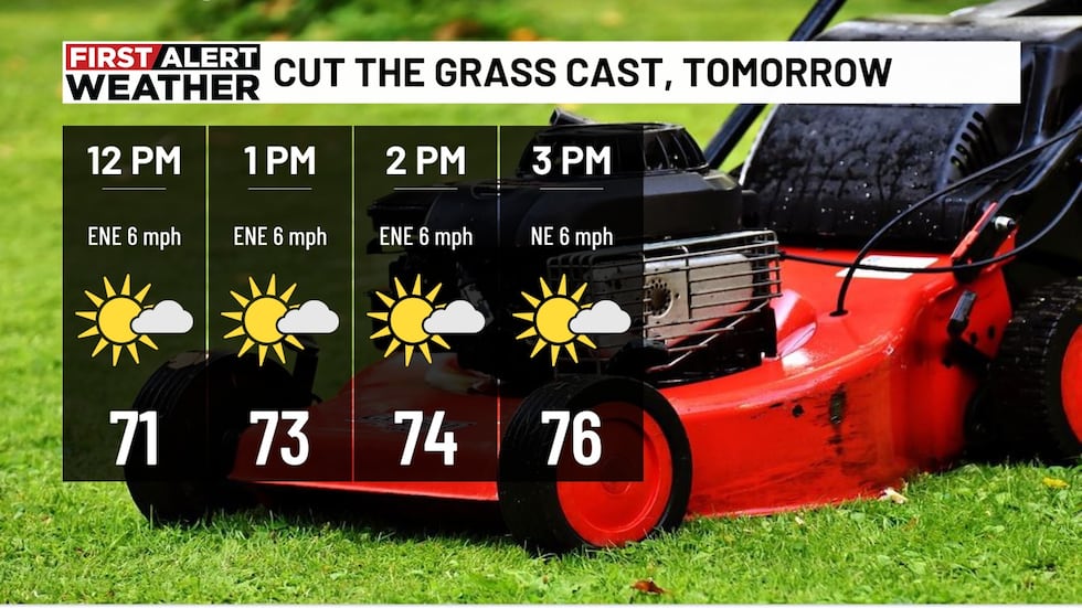 Cut the Grass-cast Tomorrow