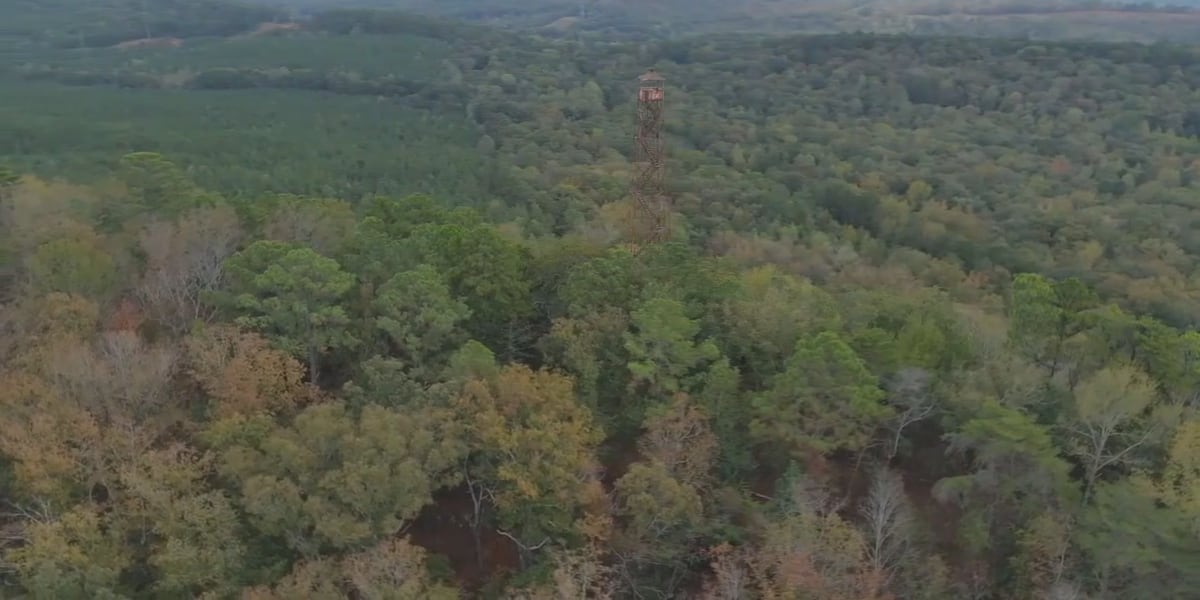 Environmental groups question NDA tied to proposed ‘Project Marvel’ data center in Bessemer