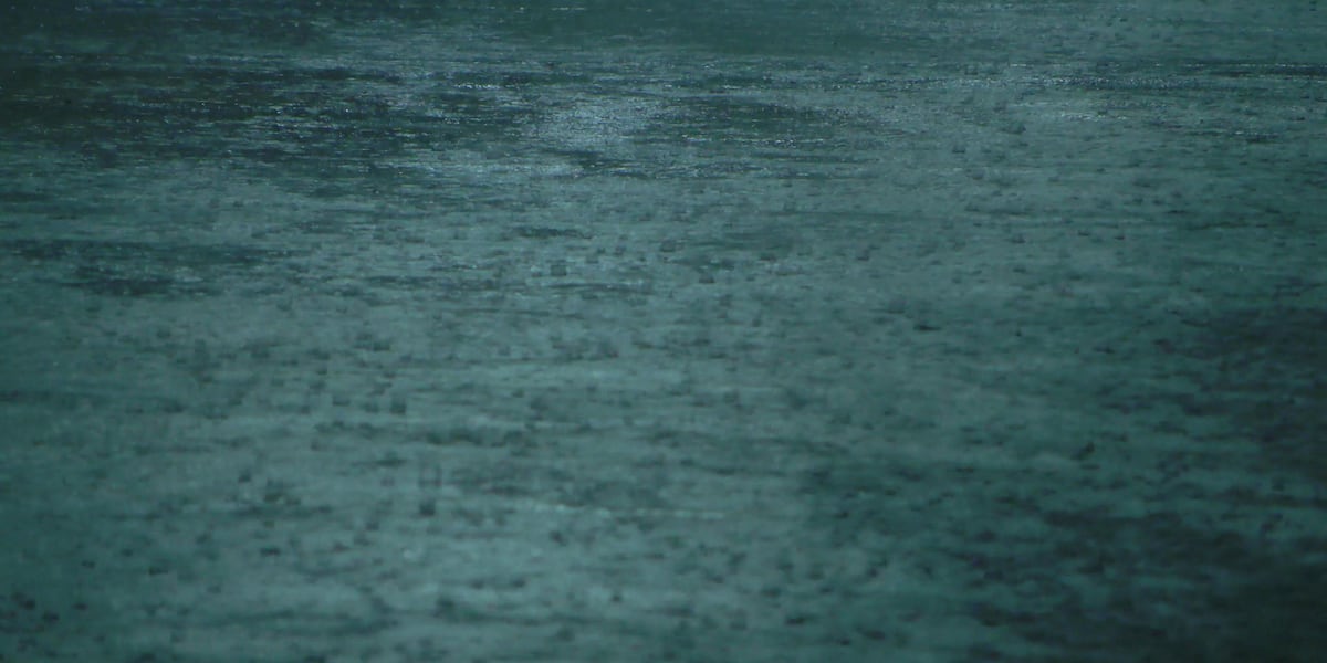 Homewood neighbors say flooding remains biggest concern as city cracks down on dumping