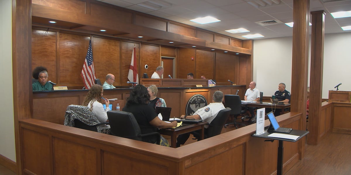City of Leeds passes one-year moratorium on data center development