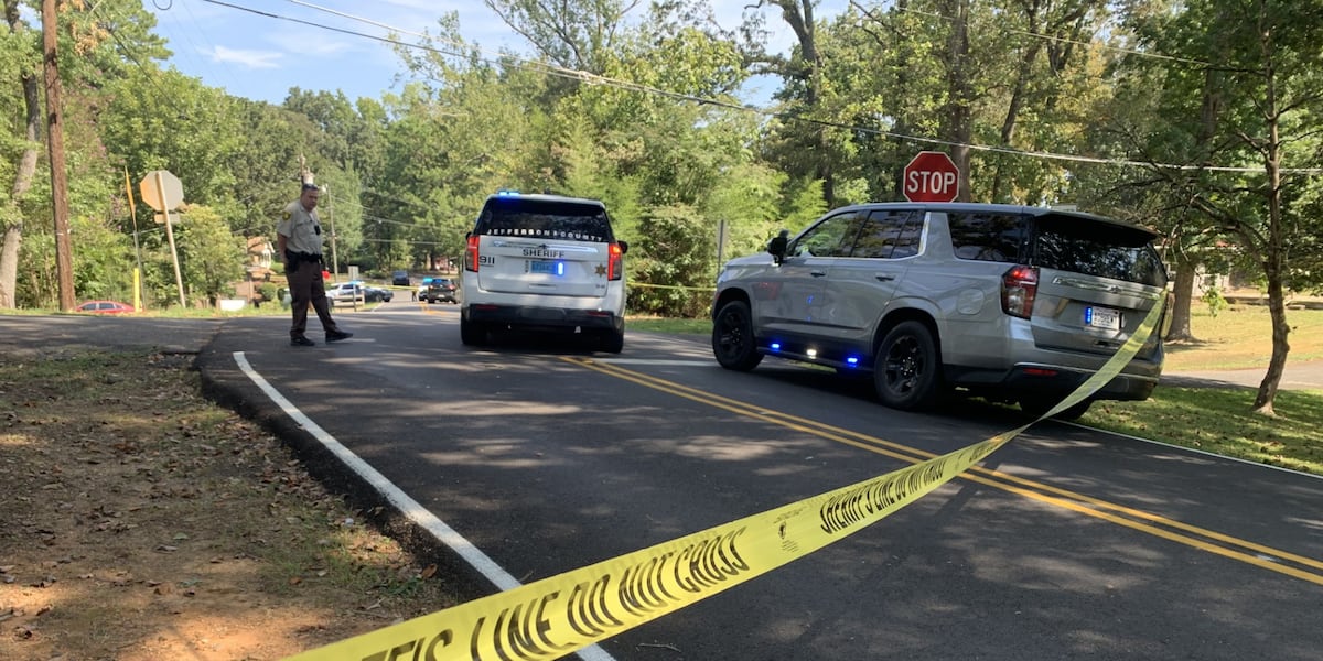 Coverage image for: Man dead after chase, crash in Forestdale