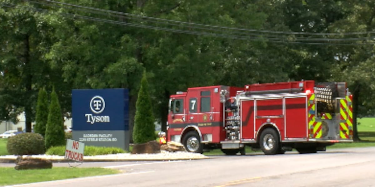 4 taken to hospital after ammonia leak at Gadsden Tyson Foods plant
