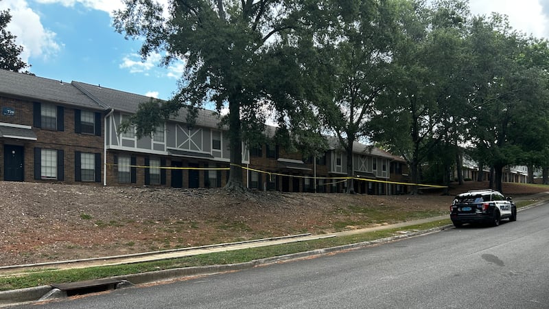 6-year-old dead after accidental shooting