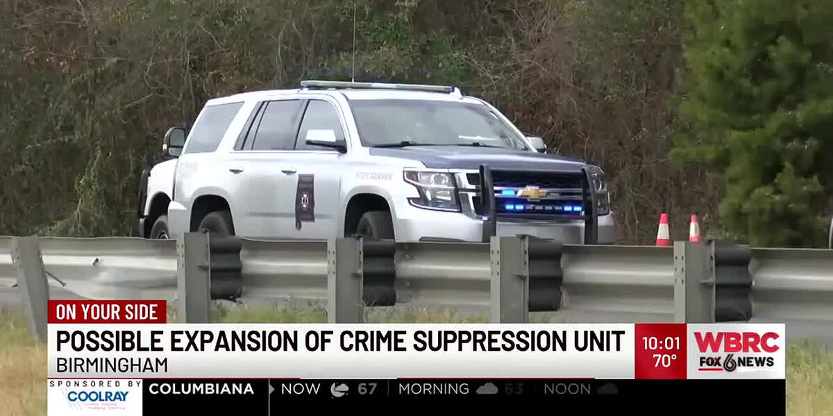 Small Crime Unit Possible expansion of crime suppression unit