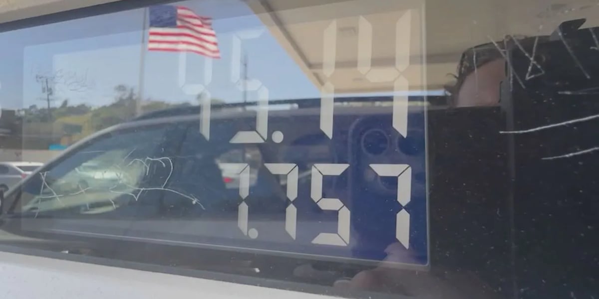 Expert: Promising signs despite rising prices